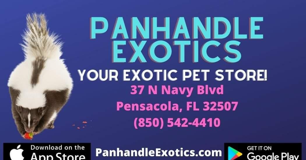 panhandleexotics.com logo